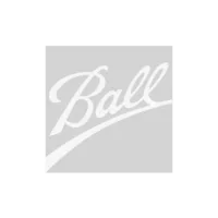 Ball logo in gray